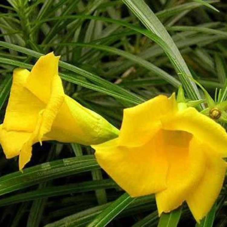 1760335844625.webp